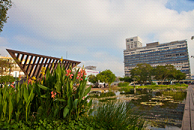 Tel Aviv Area